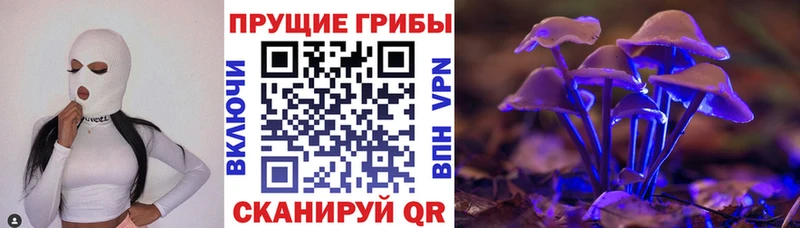 Псилоцибиновые грибы мицелий  Нефтегорск 