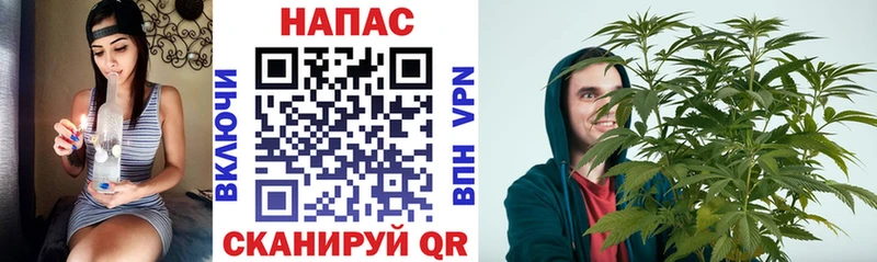 сколько стоит Нефтегорск Шишки марихуана White Widow